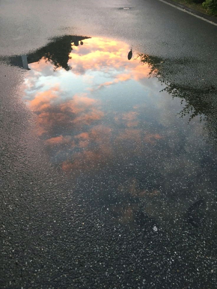 Perfect photograph