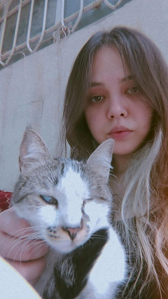 Us in one picture:
Me: full of love
Her: full of hate
If you’re not ready for a toxic relationship, just get a cat :)