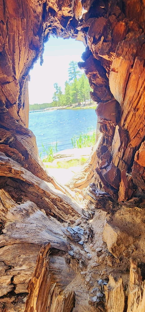 A window to nature. By GNK