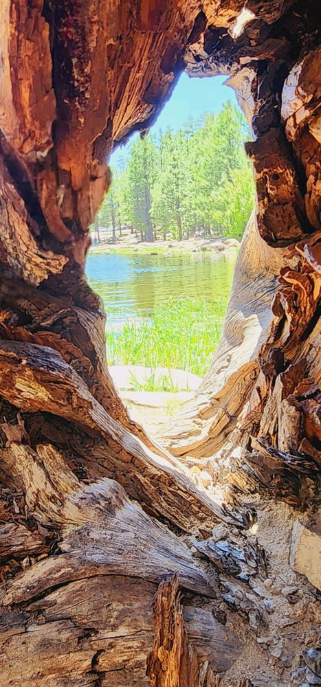A window to nature. By GNK