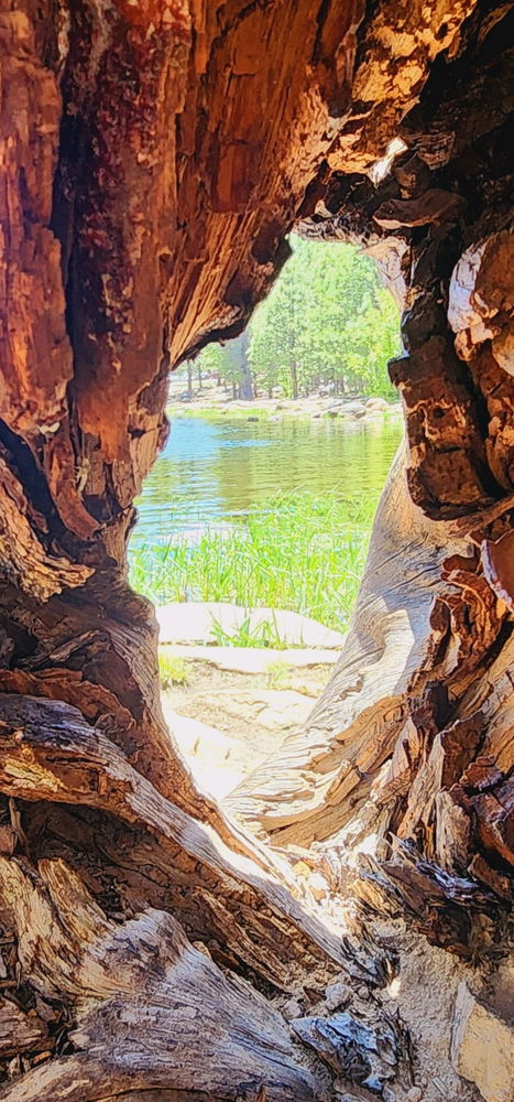 A window to nature. By GNK