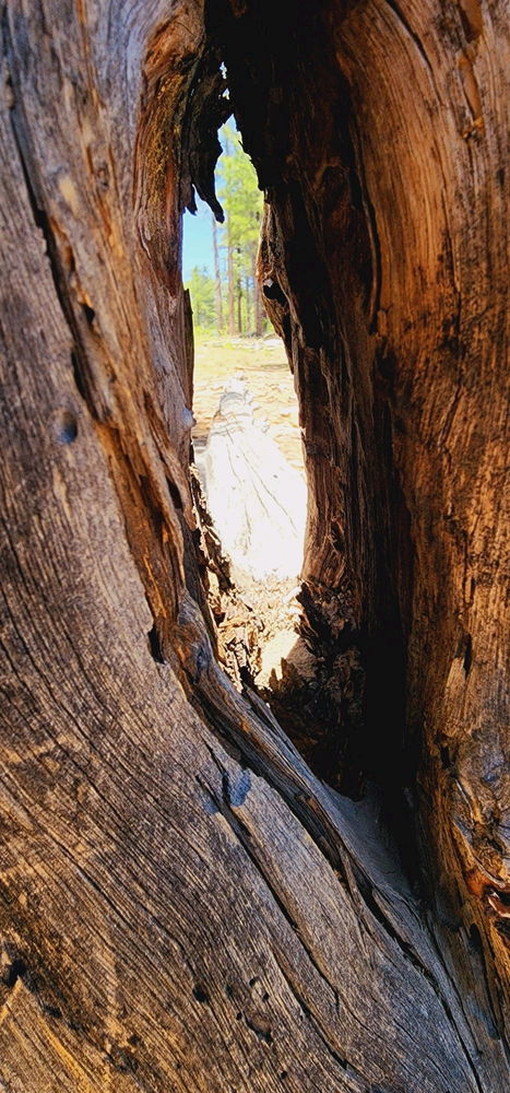 A window to nature. By GNK
