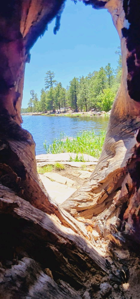 A window to nature. By GNK