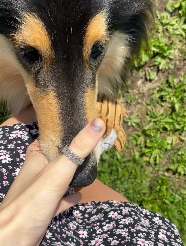 Mr Snoot