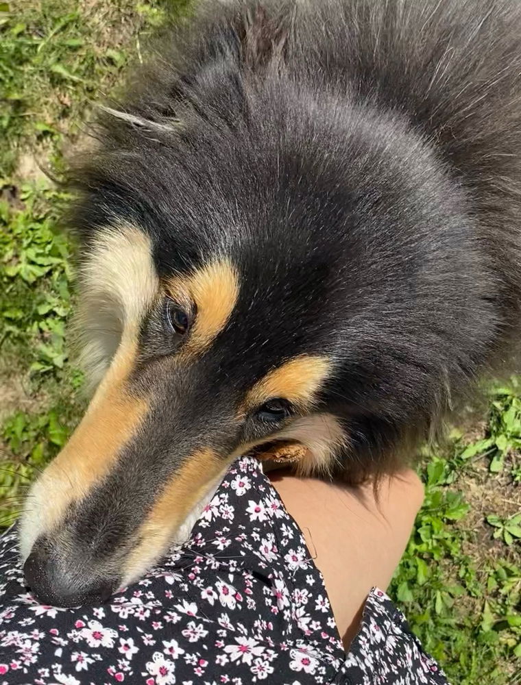 Mr Snoot