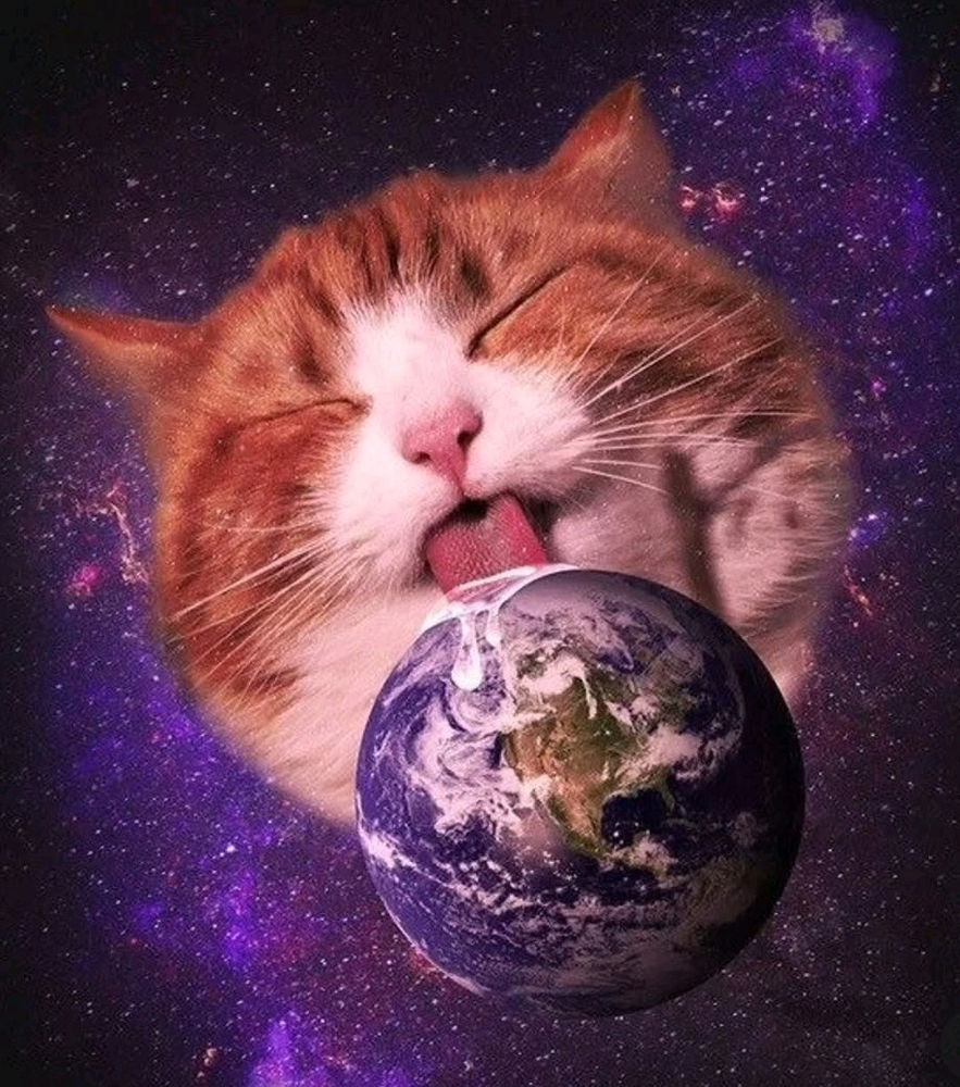 Ceci est la triste réalité, la science n'a rien avoir avec la rotation de la terre 🥲