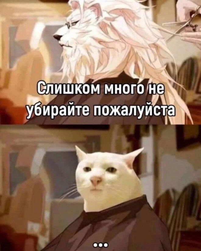 Вот поэтому мужчины и не бреются 🫣