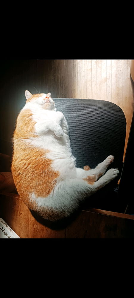 siestita al sol