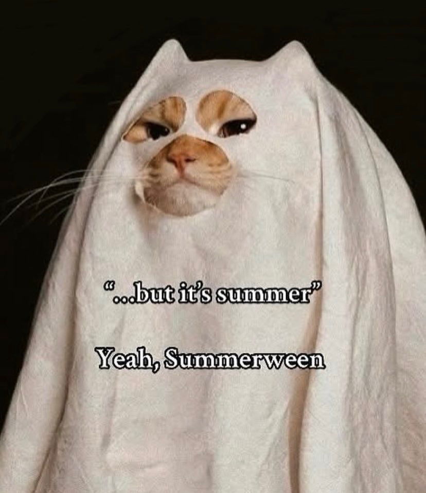 👻🐈💨🎃
