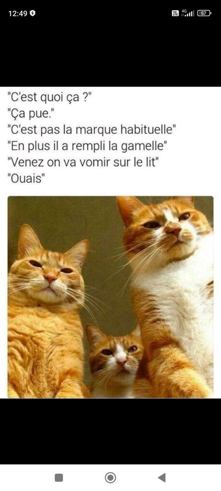 Fines bouches 😼