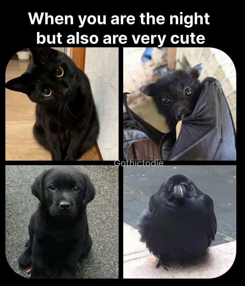 🖤🖤🖤