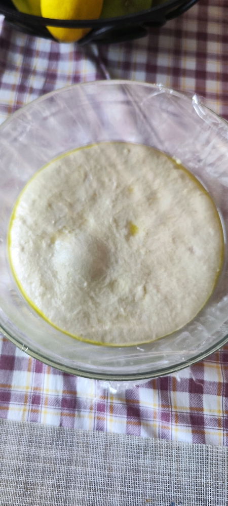Impasto Focaccia 💛