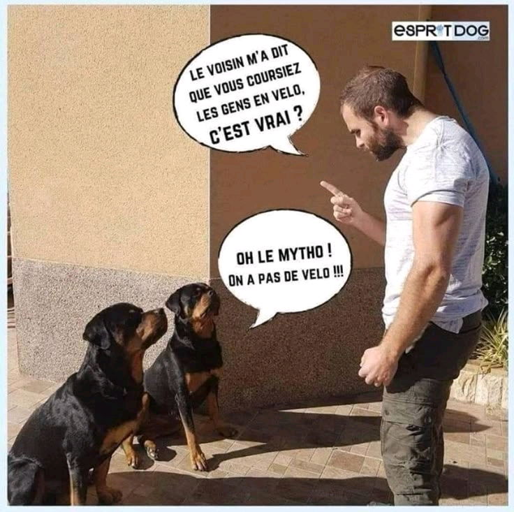 🤭😂