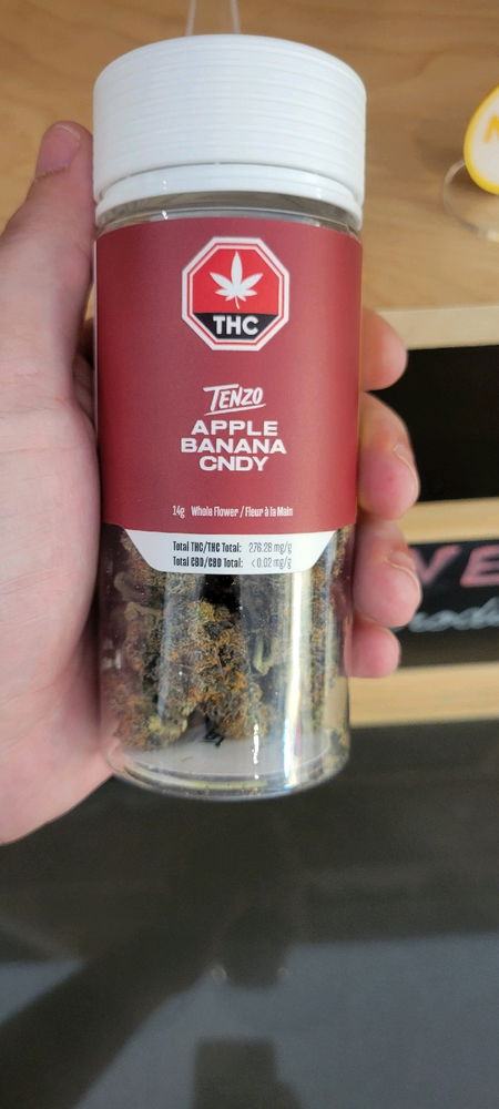 Tenzo 🥲🔥