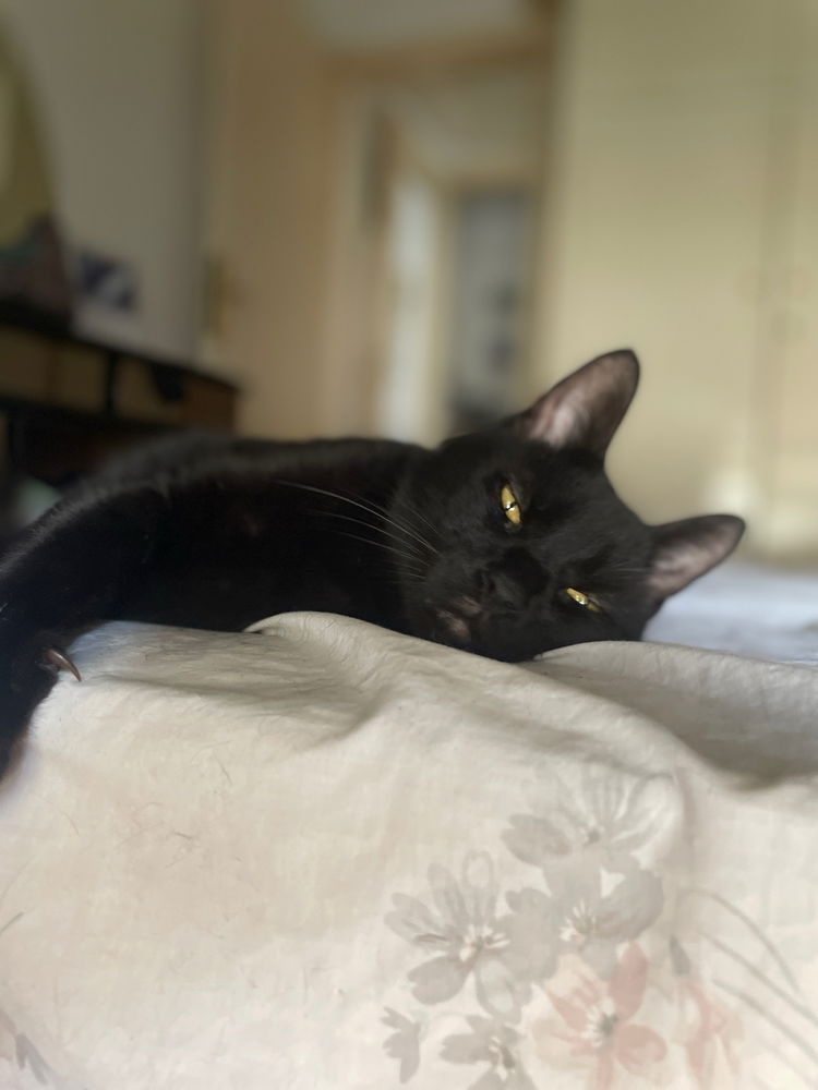 Sleepy 😴