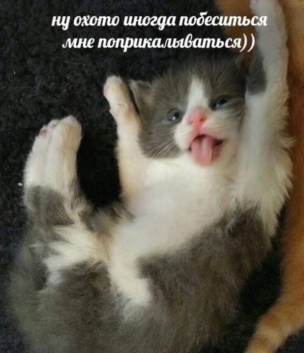 Ага 😁