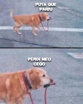 De mis memes favoritos.
