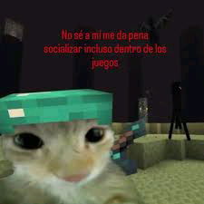 Pues es que quiero jugar no socializar en un juego :c