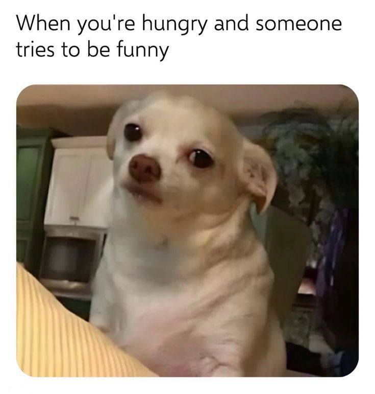 But first, foooood! 
🌭🍖🍱🥡🍔