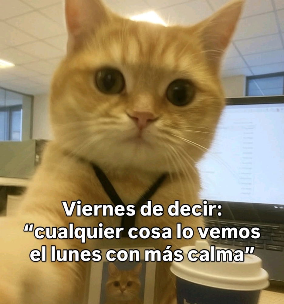 Soy yo