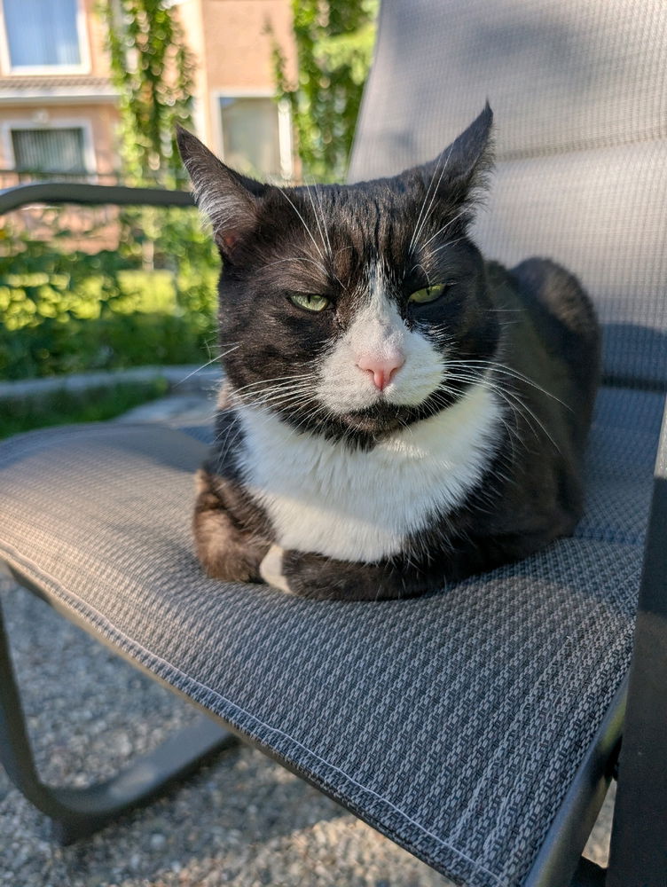 My pretty Pemberton