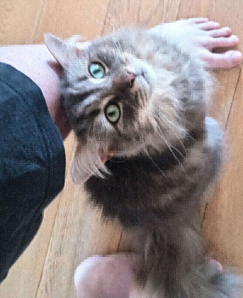 😺
