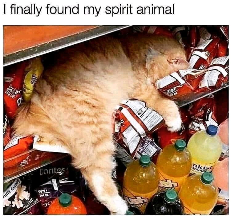 🙌🙌