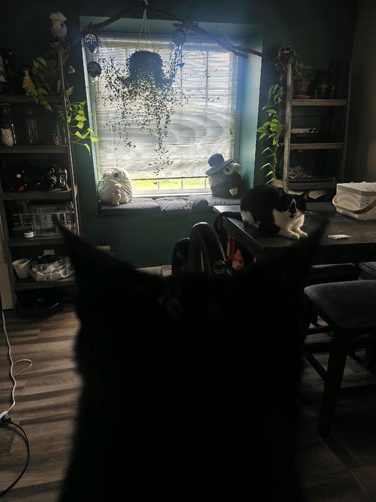 Showing the vibe of my Home in a single shot