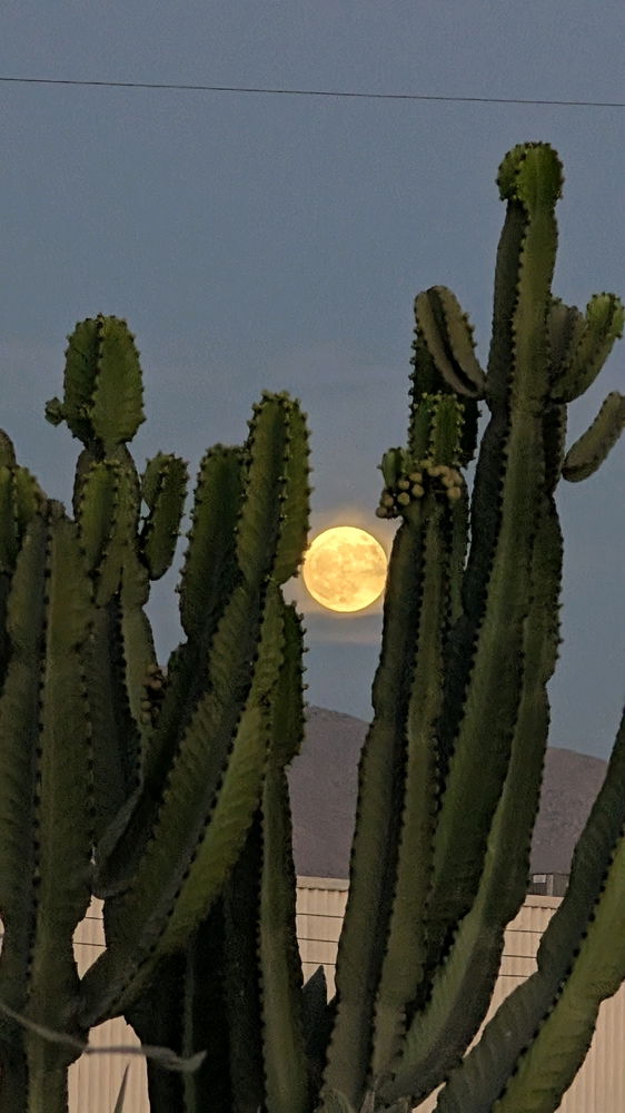 ¿Cómo mejoras una foto de la luna con tu celular?