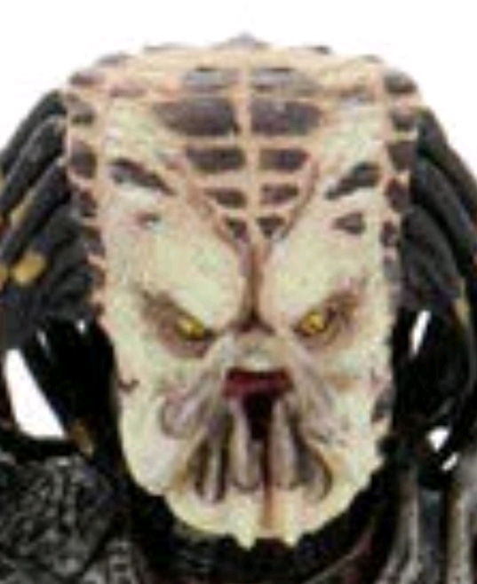 To girls word "handsome" and "Cutie" they said it in text, but really I think they see me as this