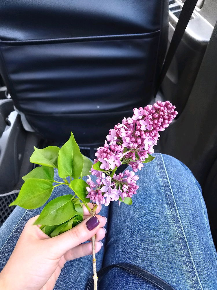 Люблю 💕