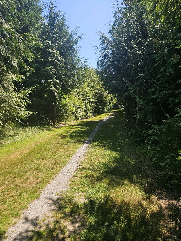 Class walk in the trails next to school
