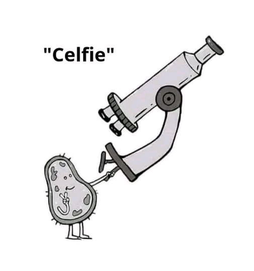 🤳