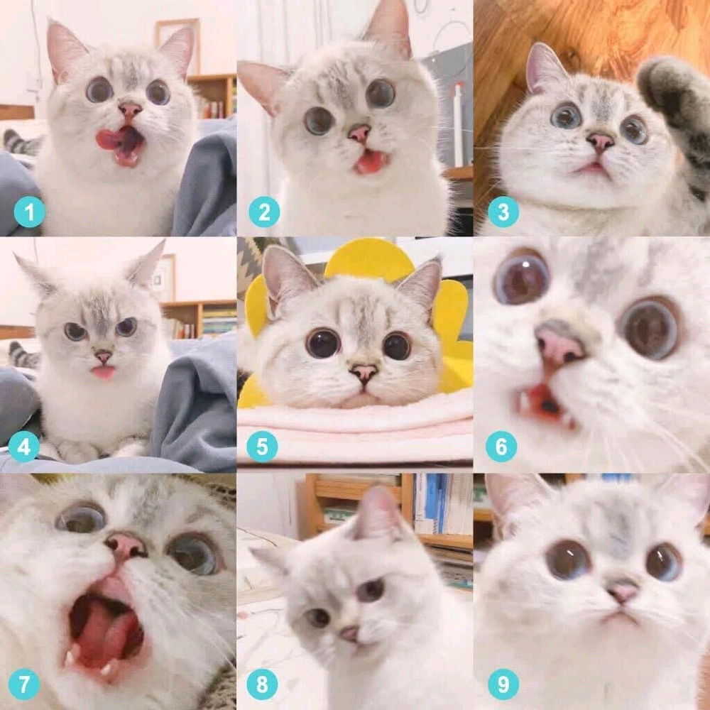 Which one describes your mood today?