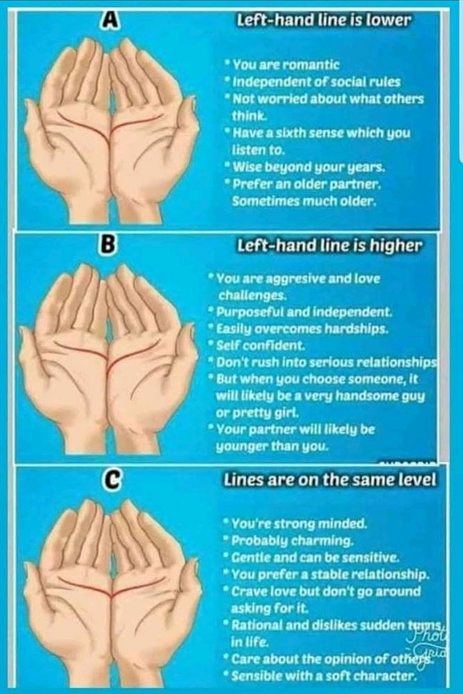Guide lines