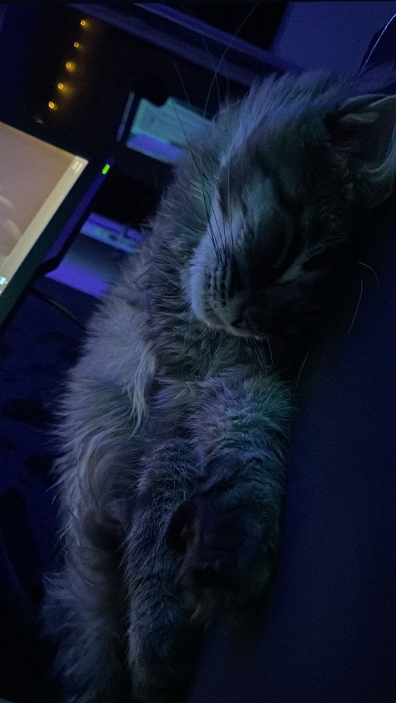 Spankoooo 🥺
