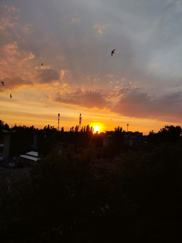 И все же как приятно юзать мыльницу, хотя бы время от времени