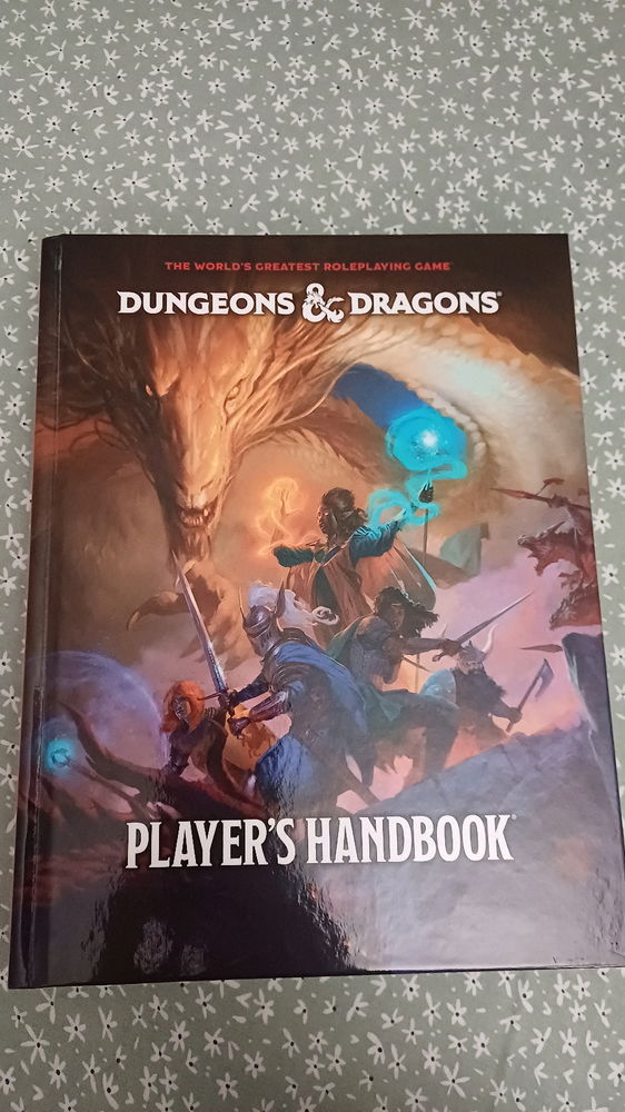 Quando você compra um Livro do Jogador de D&D (que é super caro por sinal), mas não têm ninguém para jogar contigo...