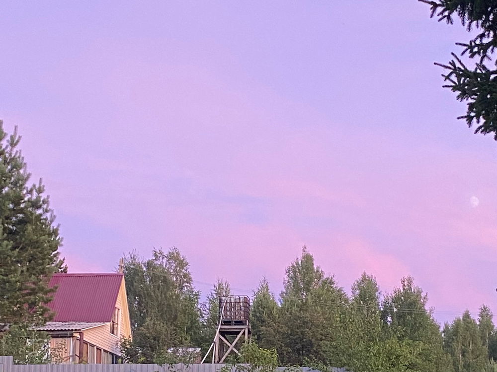 rose-tinted world