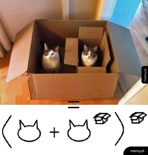 √😺