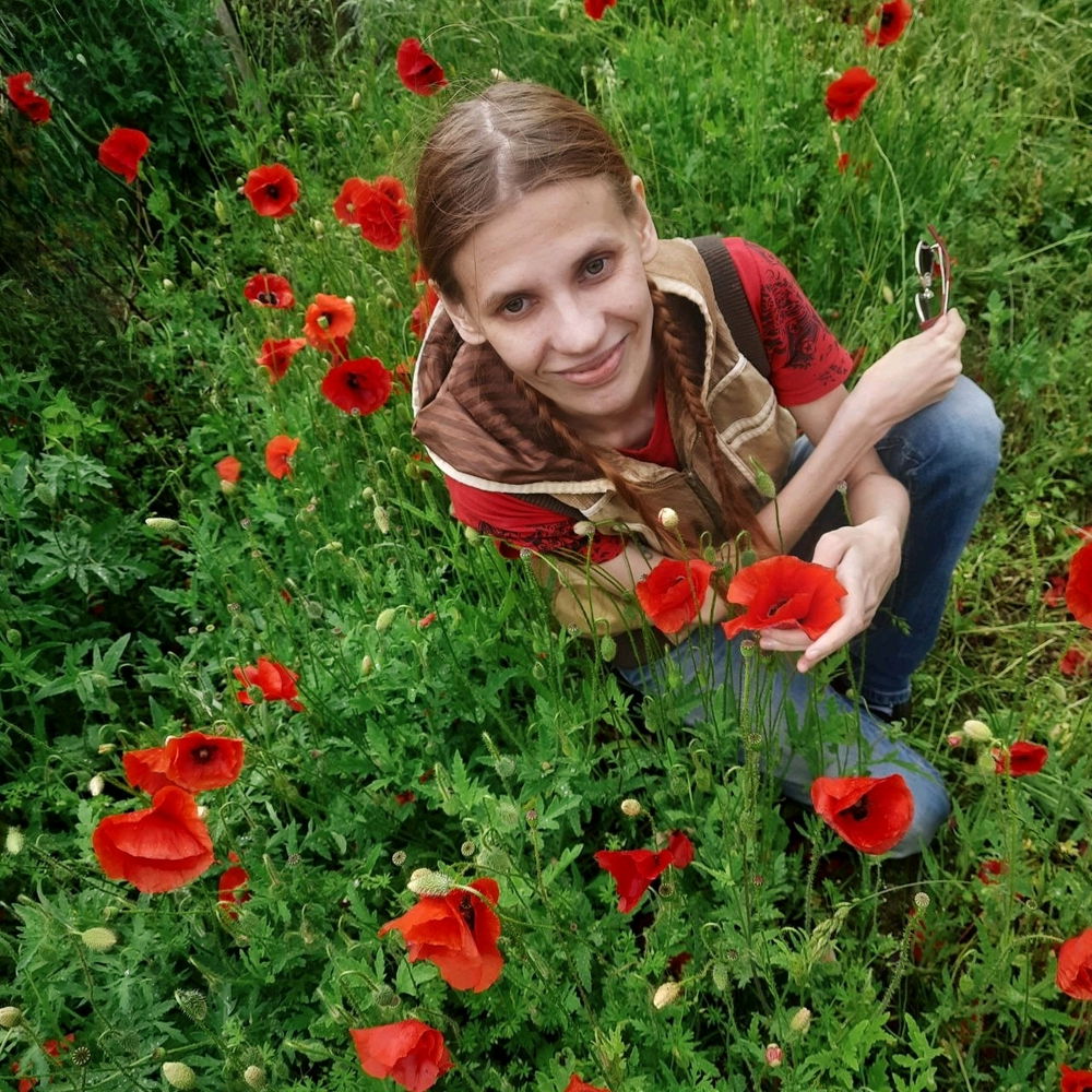 Poppy fields bloom once a season near Kaliningrad