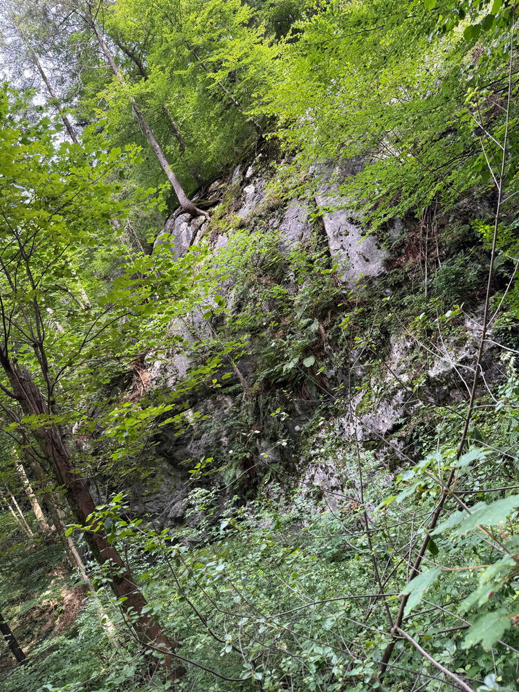 Outdoors in the jungle - Stimmersee - Austria