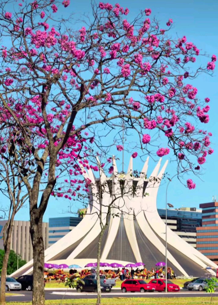 Minha cidade nesta época do ano é simplesmente linda.