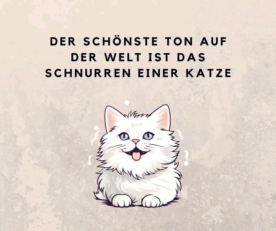 Für mich der liebste Begleiter seid der Kindheit. ❤️