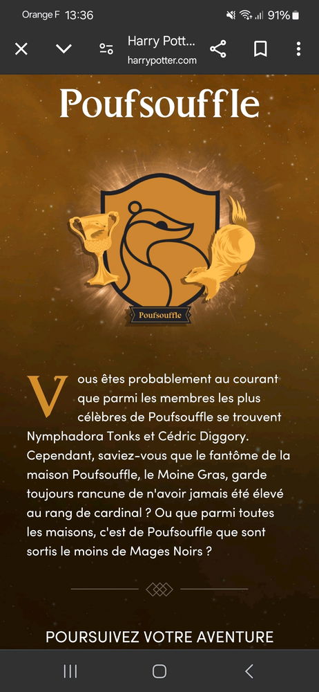 Le choixpeau a dit...
