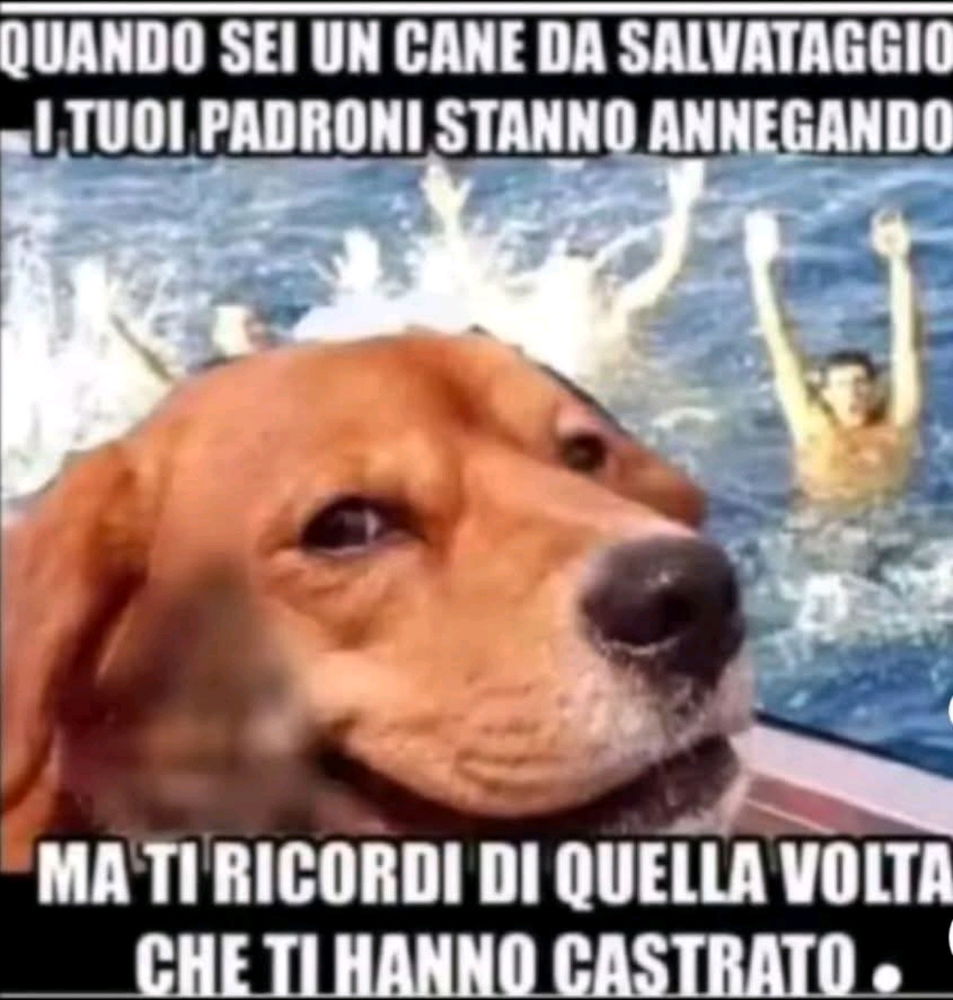 La vendetta...