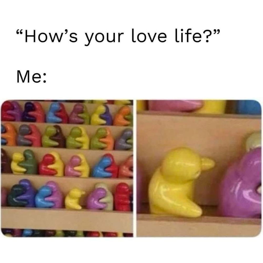 ✅