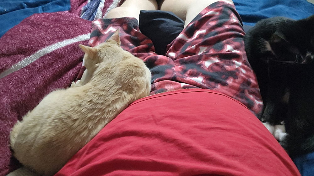 Chilling with the boys 