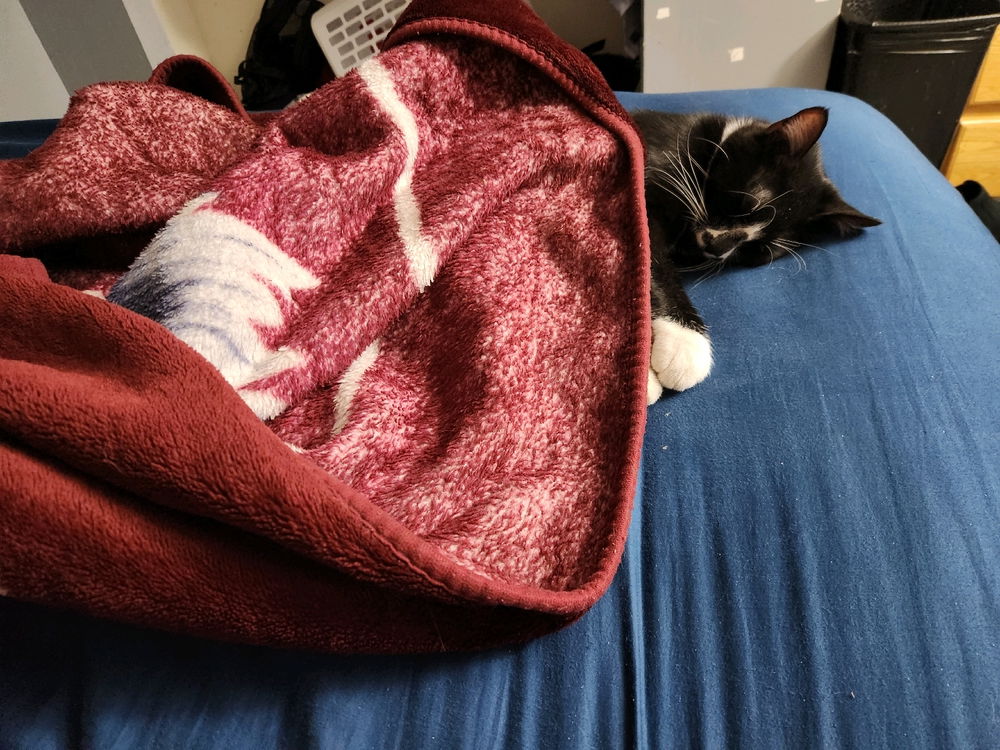 Bedtime 😴