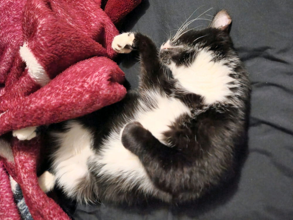 Been a long day 